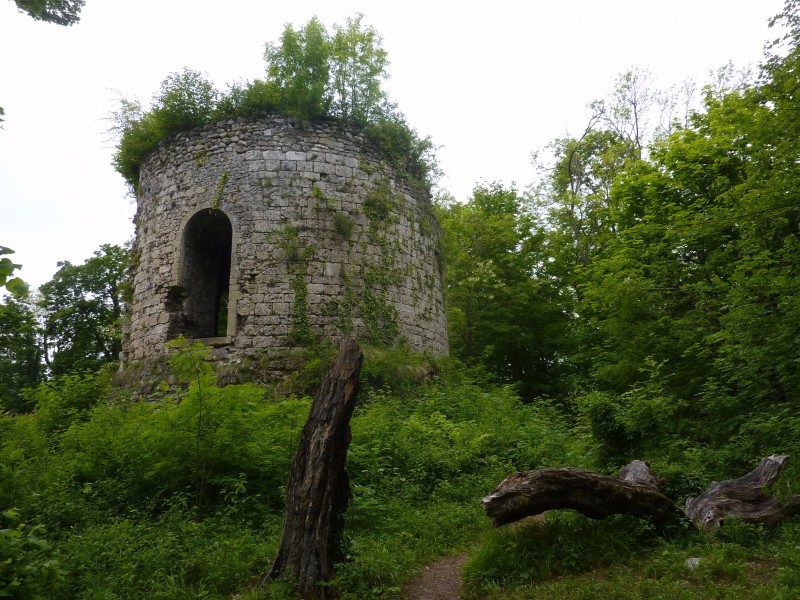 Ruine en bon état : La tour inconnue s'appelle Barral.