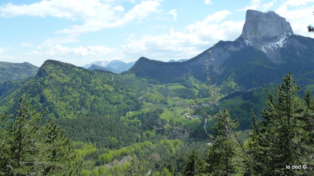 Mont Aiguille : le Maître des lieux