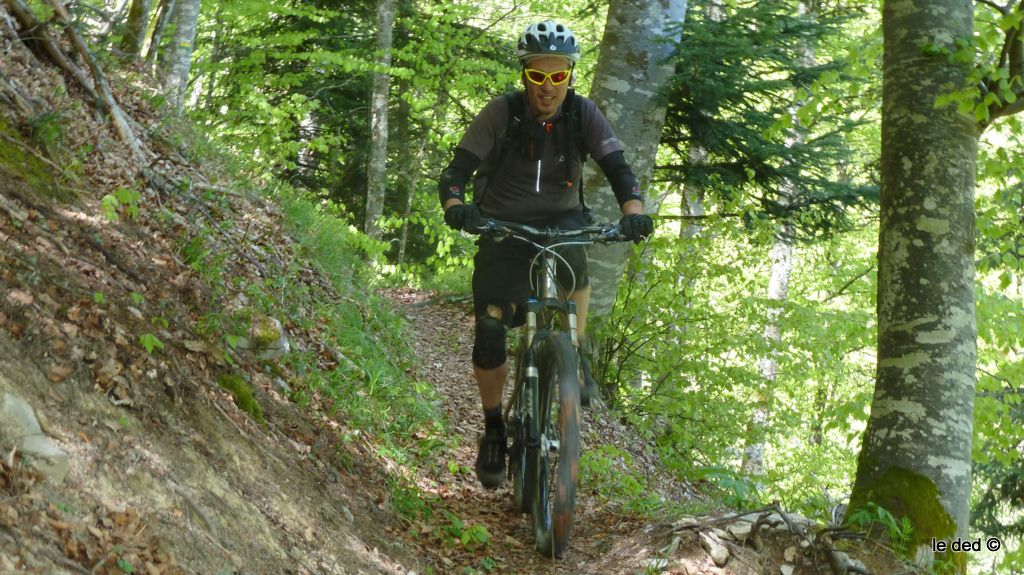 Sentier des Gardes II : Sylvain ne connaissait pas. La prochaine sortie sera  pour les crêtes, juste au dessus ou pas!