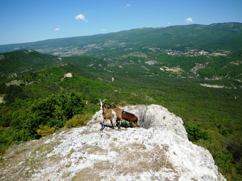 Sommet de Tourdeaux : Chapelle d'Augès, villages de Mallefougasse et Cruis, Montagne de Lure.