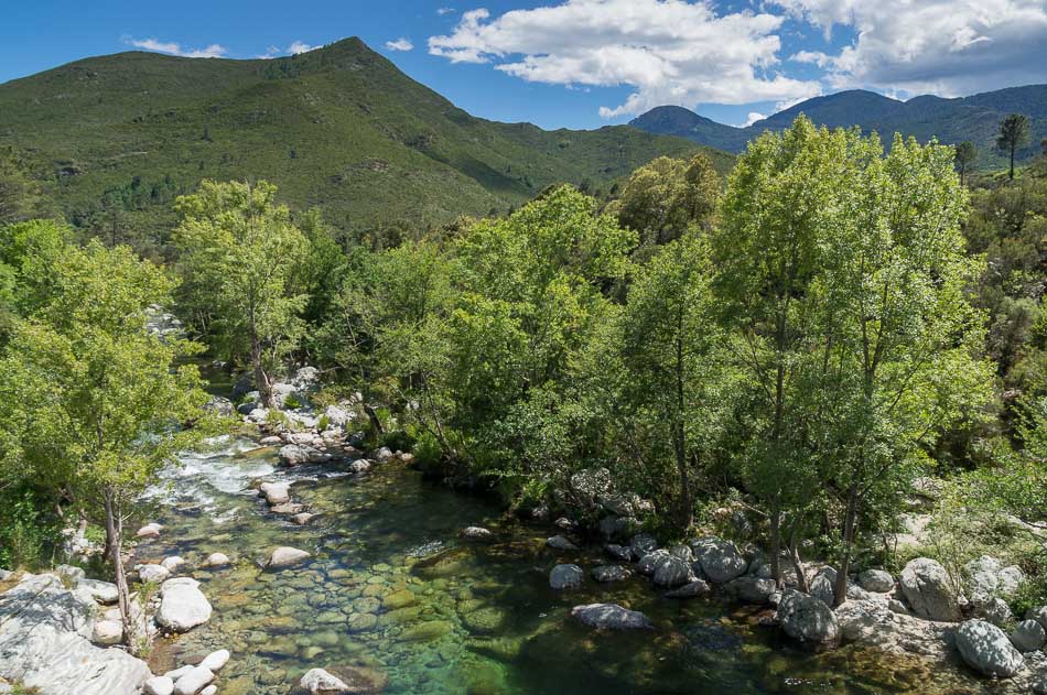 Pont de Noceta : sur le Vecchio