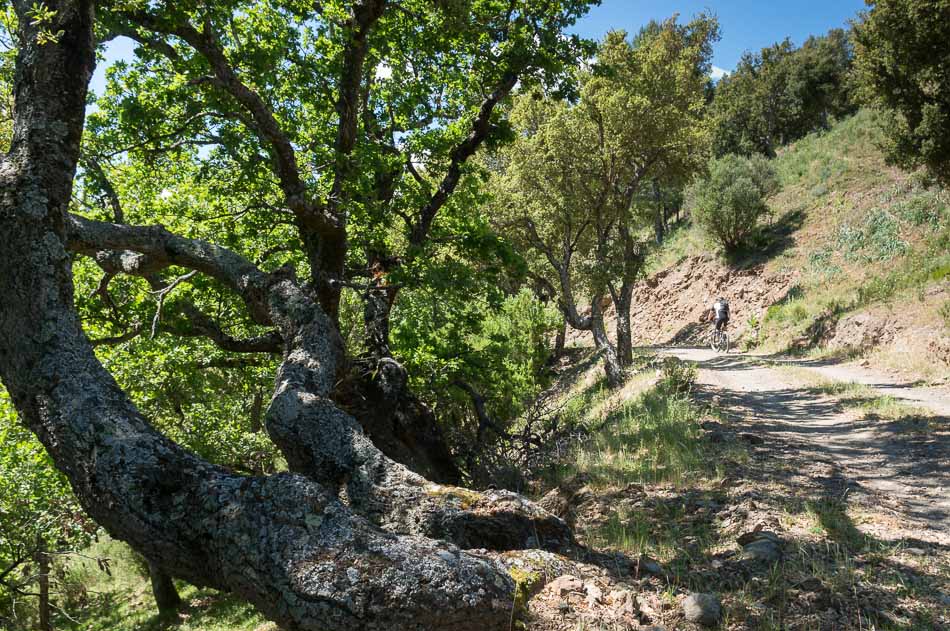 Piste vers Poggio di Venaco : un petit répit