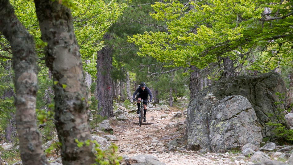 Sur le GR20 : en descendant sur le col de Verde