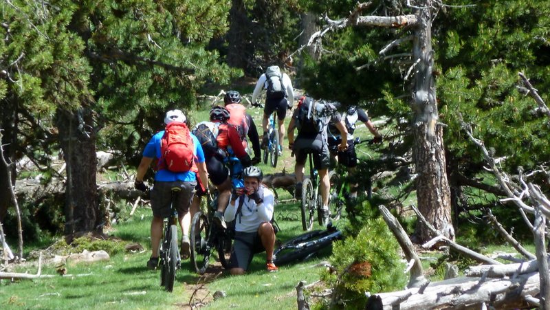 La meute en forêt : Assaut final de cette section dans le chaos du bois mort de la Serre de Clavera