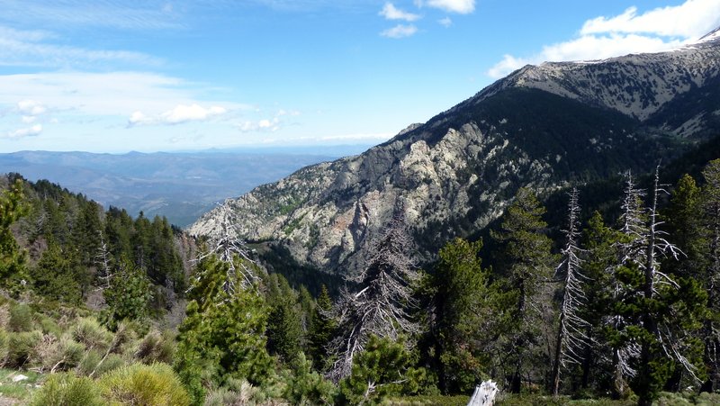 Notre vallon de montée : Sauvage et quasi personne! 2 couples de marcheurs doublés sur la montée