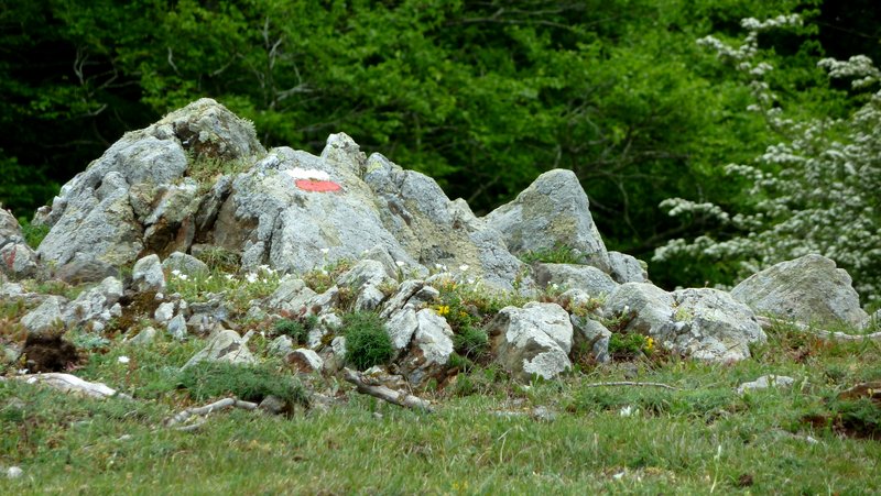 #6 GR10 : Parfois bien marqué, parfois pas ! GR10 : Parfois bien marqué, parfois pas !