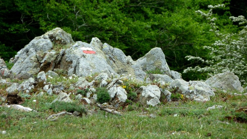 GR10 : Parfois bien marqué, parfois pas !