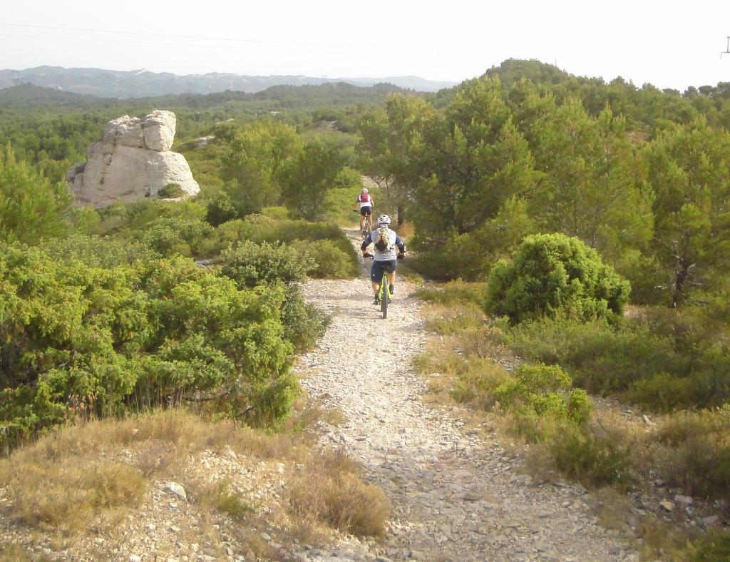 De bons singles : au milieu de la garrigue