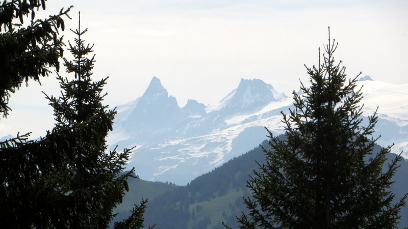 #1 Vue pas vilaine : Laiteux mais pas hideux Vue pas vilaine : Laiteux mais pas hideux