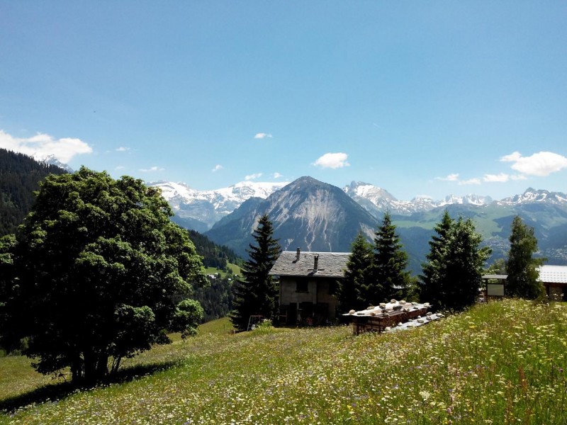 La Cour : sur fond de la dent du Villard