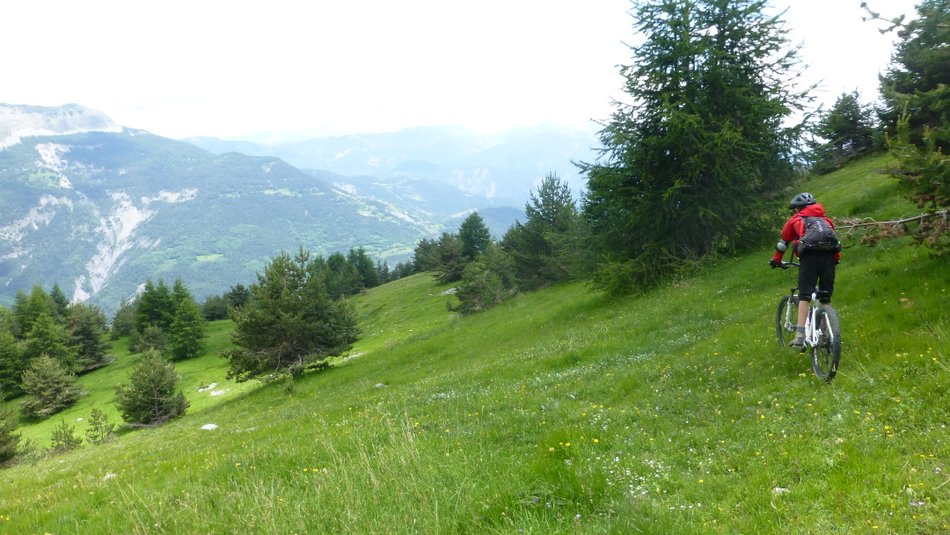 #21 Freeride Freeride