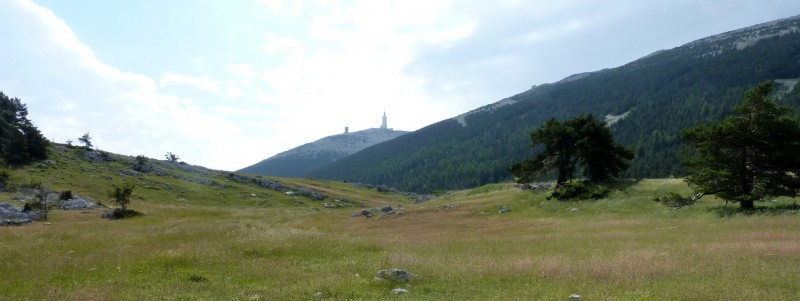 Prairie du Mont Serein : endroit paisible pour admirer le Ventoux