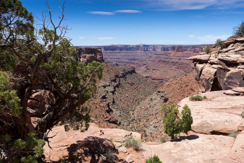 Twisted Tree : et les à-pics sur le Colorado