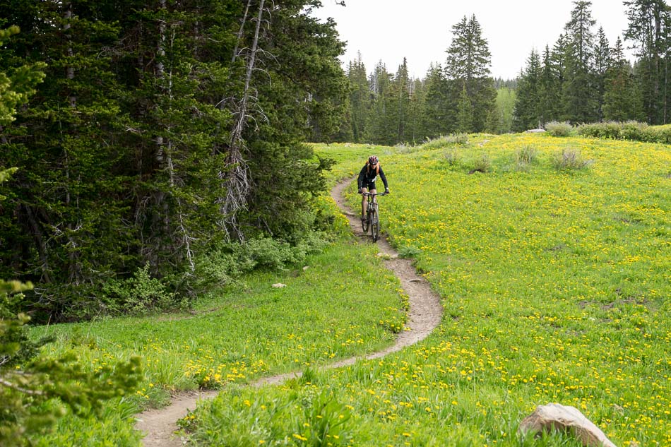 Moonlight Meadows : ce n'est pas dans le Jura et pourtant