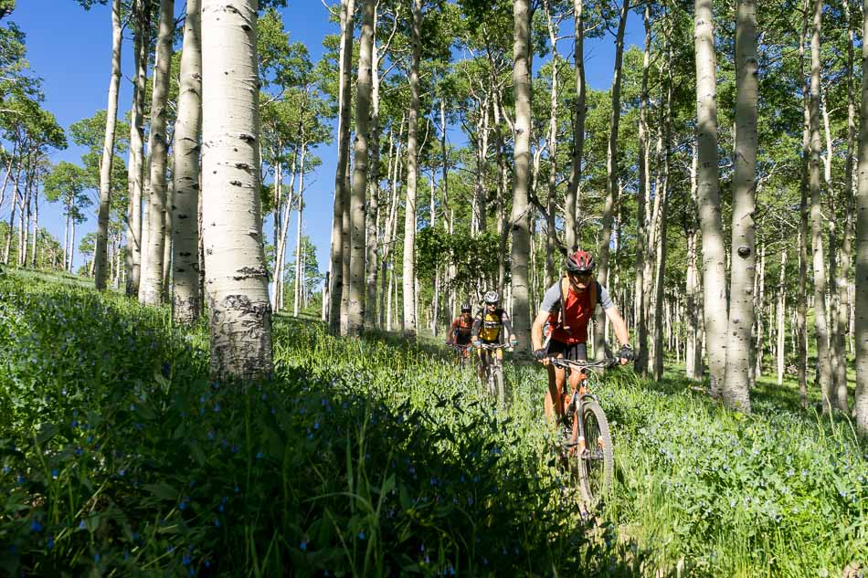 une autre : le peloton