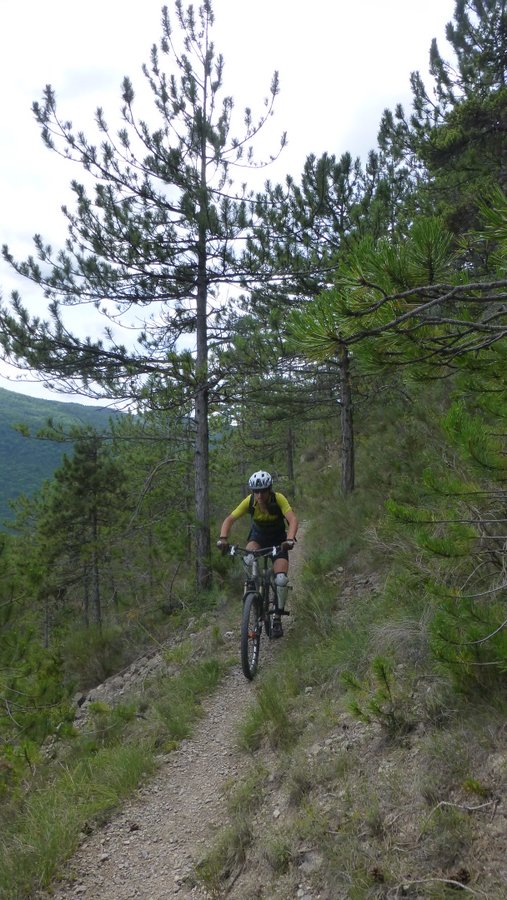 Descente de Tête Dure : Géniale