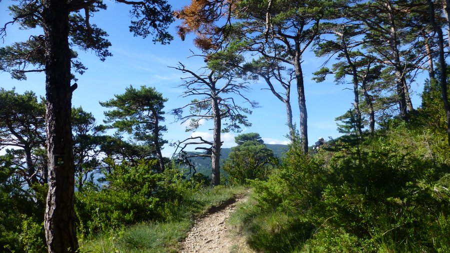 Col de Cour : Pédalable à 99 %