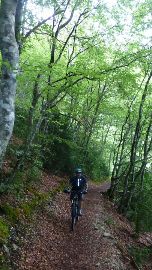 Coach : Sous bois méga rapide