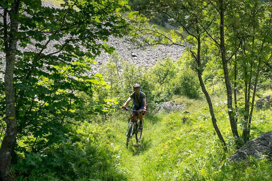 #15 premiers sous-bois : ca change de physionomie pour devenir bien joueur.
La côte remonte! premiers sous-bois : ca change de physionomie pour devenir bien joueur.
La côte remonte!
