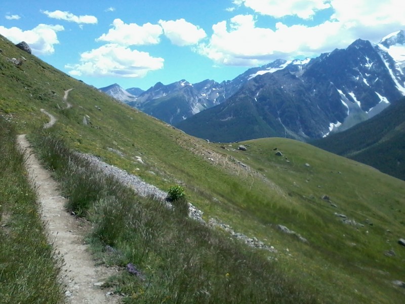 Chemin du Roy : Voie royale