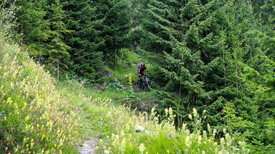 #6 Nant de Tessens : joli final Nant de Tessens : joli final