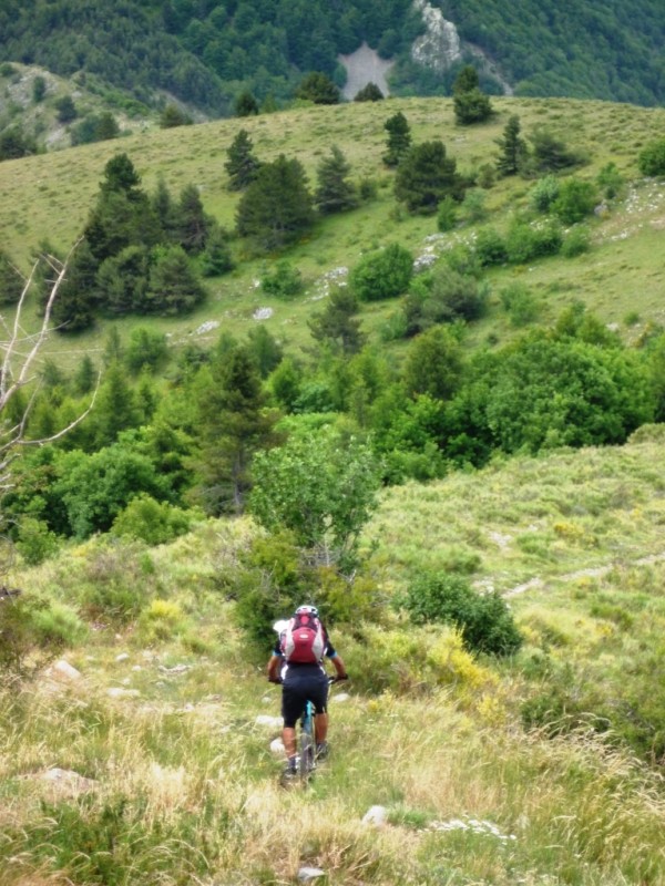 #9 Sommet de la Bigue : descente (suite) Sommet de la Bigue : descente (suite)