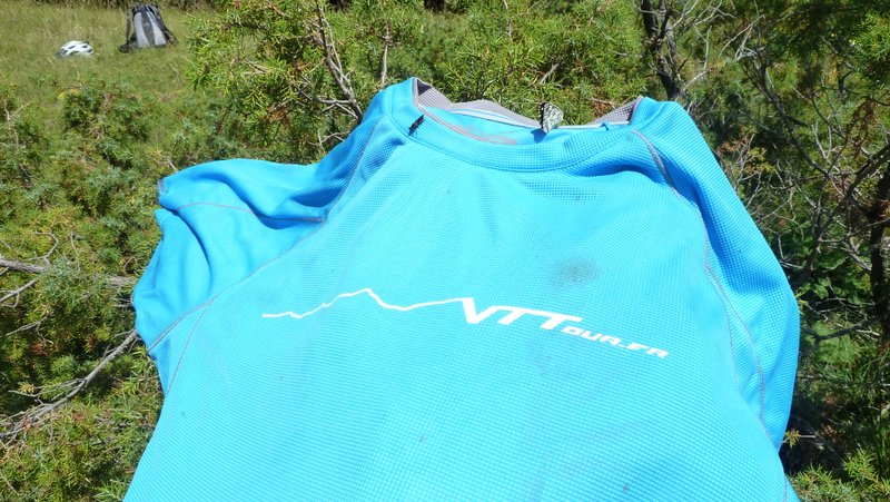#6 Papillon et insecte sur Vttour : Le nouveau maillot au séchage, déjà sale, nourrit la faune locale Papillon et insecte sur Vttour : Le nouveau maillot au séchage, déjà sale, nourrit la faune locale