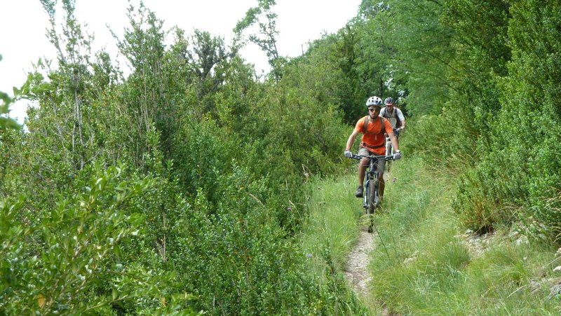 Végétation luxuriante : Vraiment vert ce mois de Juillembre