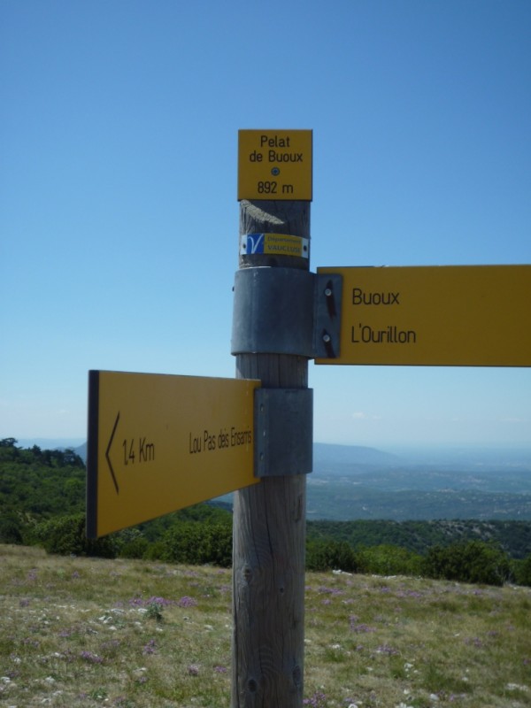 Pelat de Buoux (902 m sur IGN) : avant-dernière petite bosse avant le descente finale