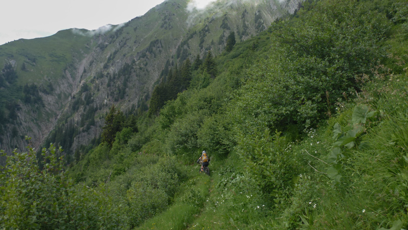 Col des Evettes : Bien végétal