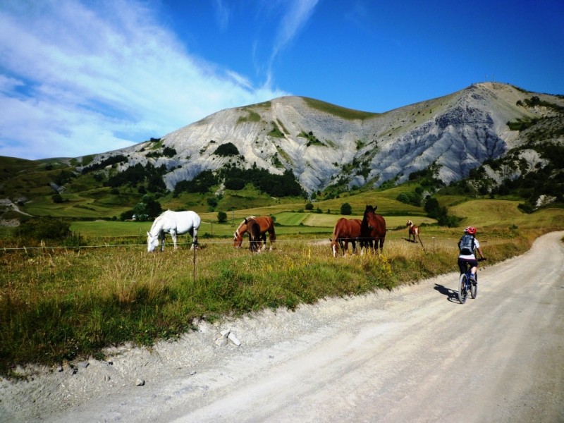 Plateau d'Iroire : les crêtes de Chabanon au fond