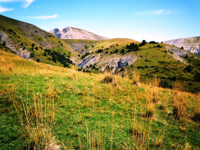 Collet 1700 m avant Garnier : Tête Grosse au fond