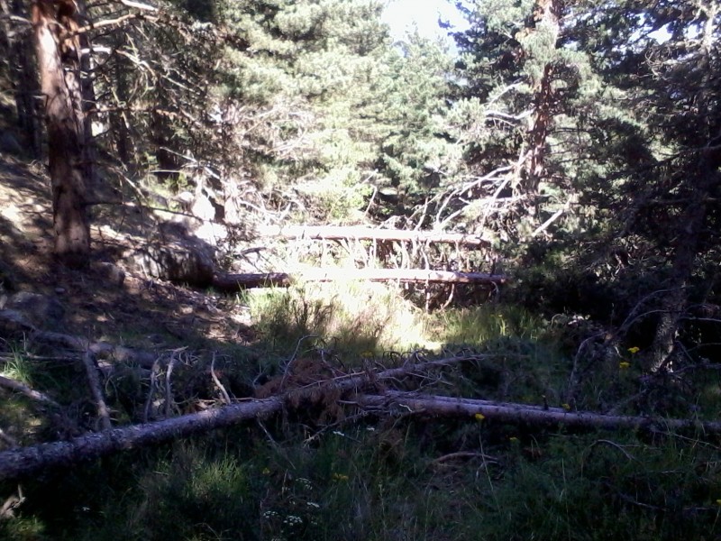 #5 dernier sentier : no comment ! dernier sentier : no comment !