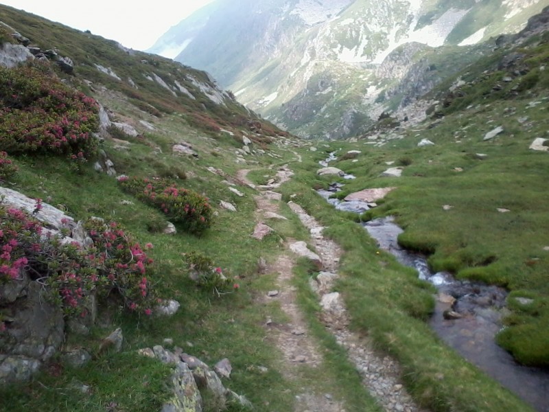 Rhodos en fleurs : Début du portage