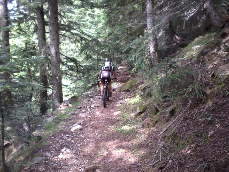 Sentier du roc des Balitres : Sentier large pas toujours lisse