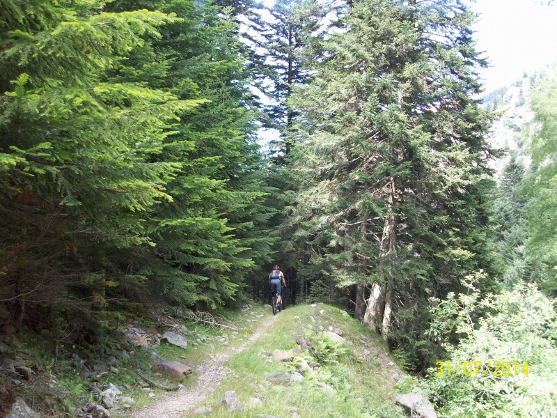 Sentier du roc des Balitres : La fin du sentier, va falloir remonter au col des voltes. Pfffff.