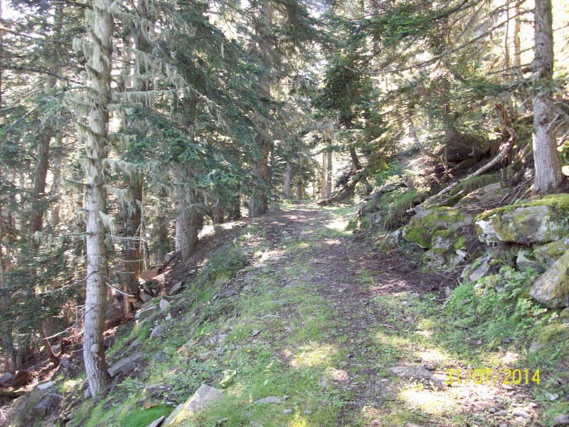 #3 Ancien chemin des Cortalets : Passage bien agréable Ancien chemin des Cortalets : Passage bien agréable
