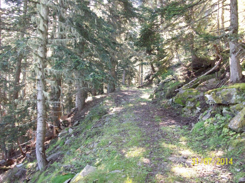 Ancien chemin des Cortalets : Passage bien agréable