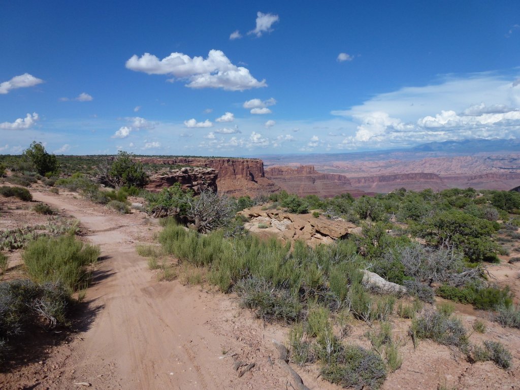 Big Chief Trail : Sentier bien roulant pour la boucle Est