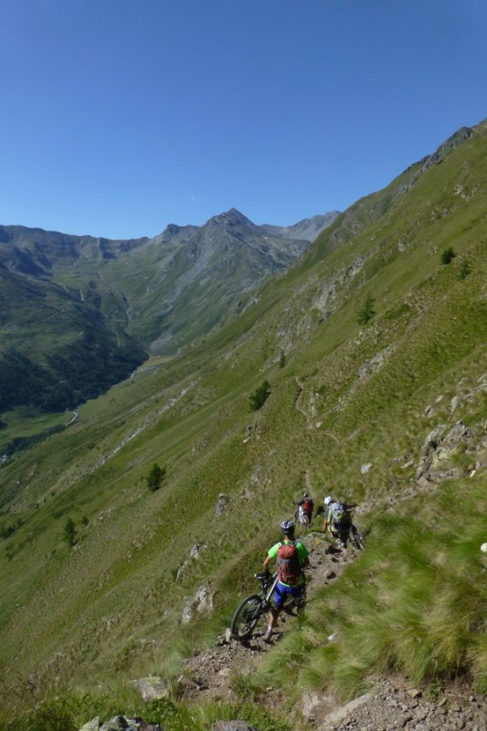 Sentier défriché : à oublier