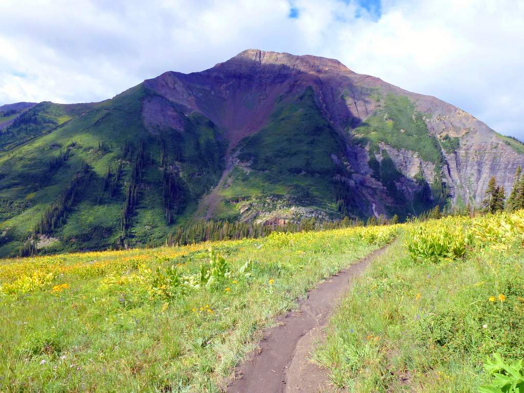 Mt Baldy : Une butte mais qui fait quasiment 3800 m d'altitude