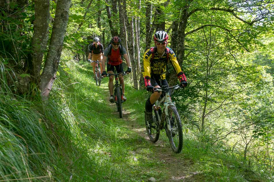 Du Villard à la Flachère : Très beau sentier séculaire