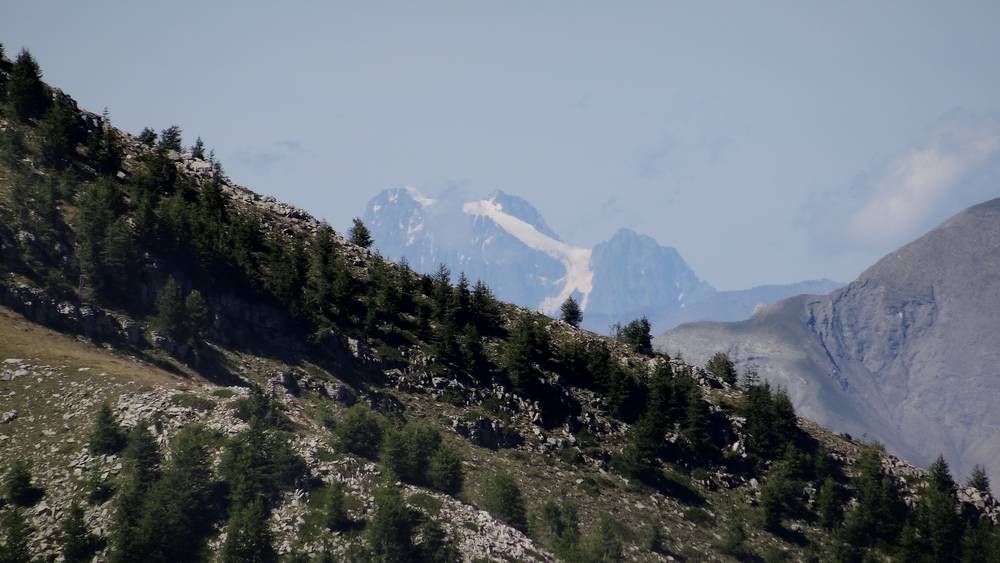 #14 Ecrins : on pourrait presque toucher le Pelvoux Ecrins : on pourrait presque toucher le Pelvoux