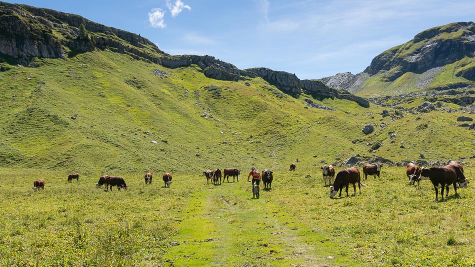 Le Grand Pré