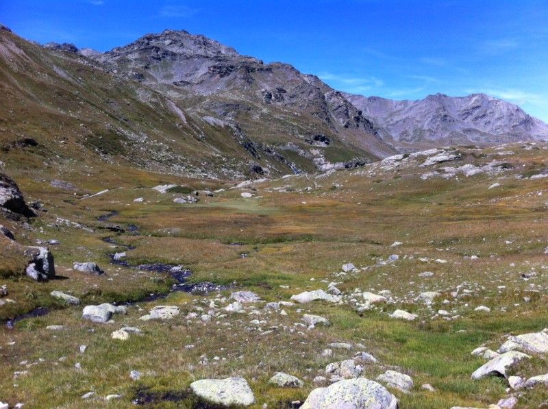 #9 les sarrasins : Paysage les sarrasins : Paysage