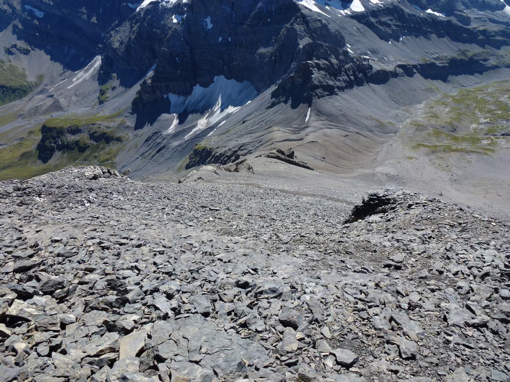 #14 Col des Paresseux : La descente, sentier peu marqué et raide Col des Paresseux : La descente, sentier peu marqué et raide