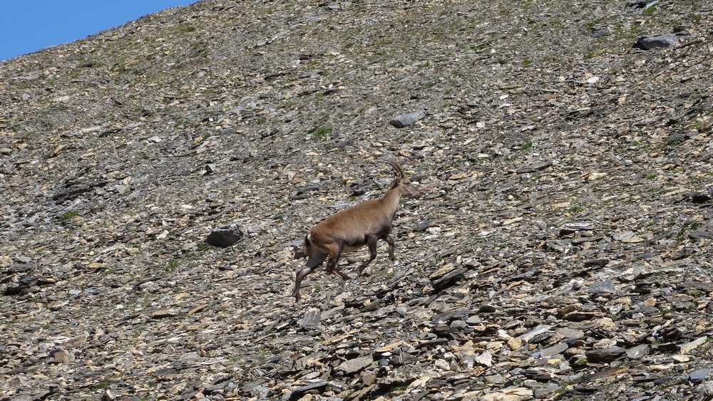 #11 Etagne : En montant au col des Fours Etagne : En montant au col des Fours