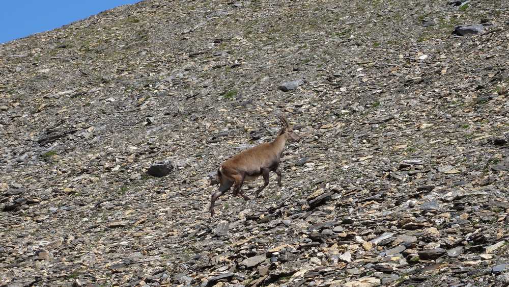 Etagne : En montant au col des Fours