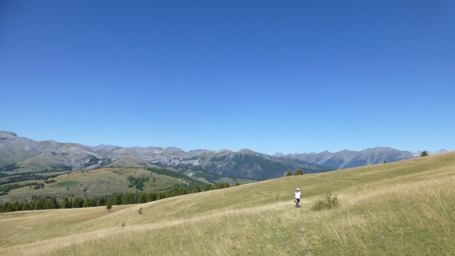 #11 Alpages : Superbe sentier dans l Alpages : Superbe sentier dans l'alpage