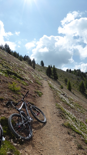 Sentier Montée : ... pour le roulage